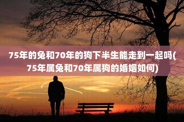 75年的兔和70年的狗下半生能走到一起吗(75年属兔和70年属狗的婚姻如何)
