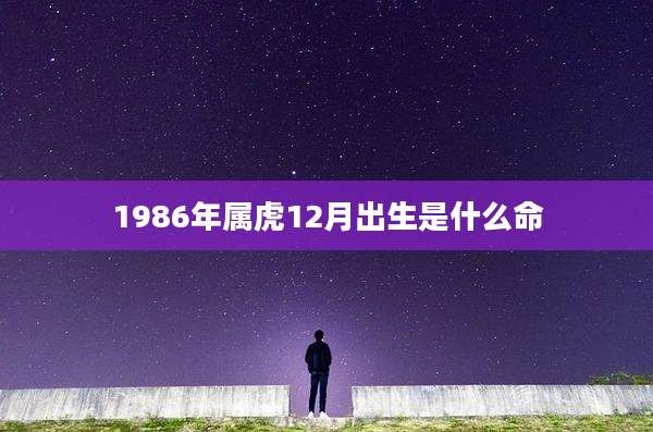 1986年属虎12月出生是什么命
