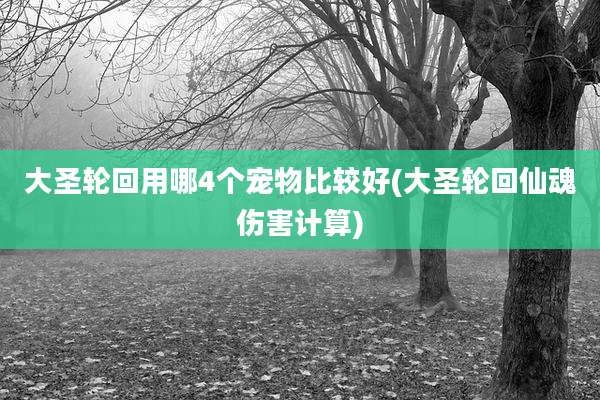 大圣轮回用哪4个宠物比较好(大圣轮回仙魂伤害计算)