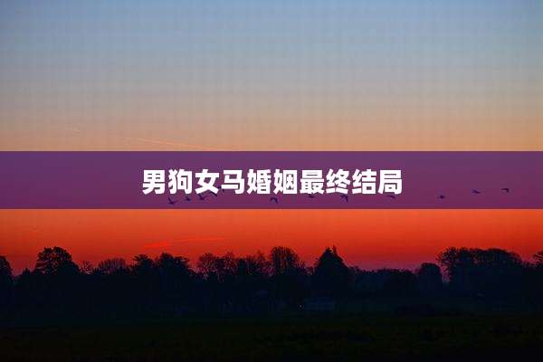 男狗女马婚姻最终结局