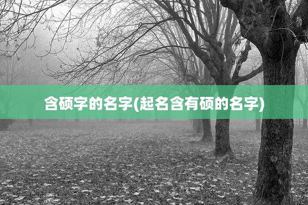 含硕字的名字(起名含有硕的名字)