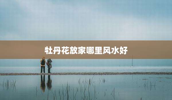 牡丹花放家哪里风水好