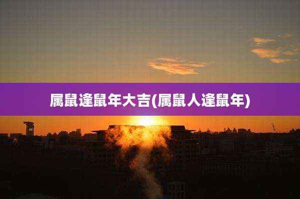 属鼠逢鼠年大吉(属鼠人逢鼠年)