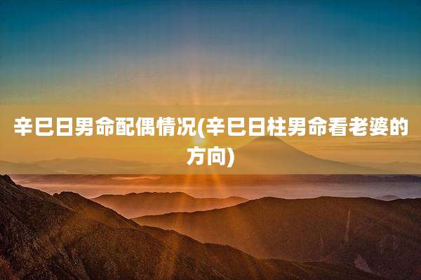 辛巳日男命配偶情况(辛巳日柱男命看老婆的方向)
