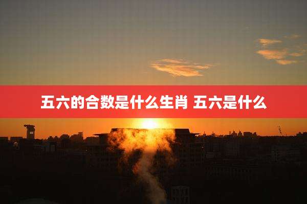 五六的合数是什么生肖 五六是什么