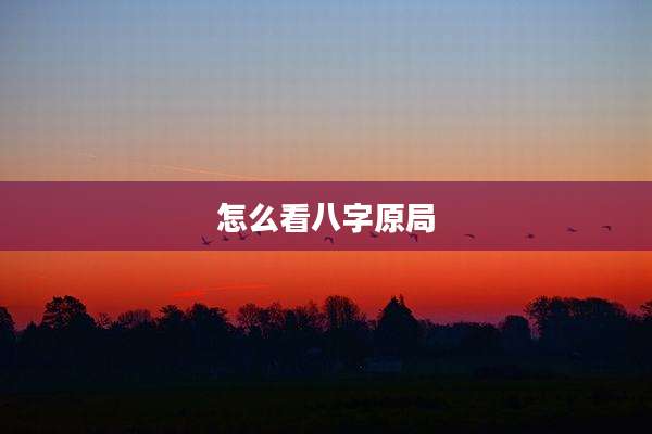 怎么看八字原局
