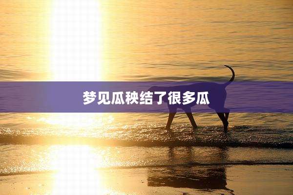 梦见瓜秧结了很多瓜