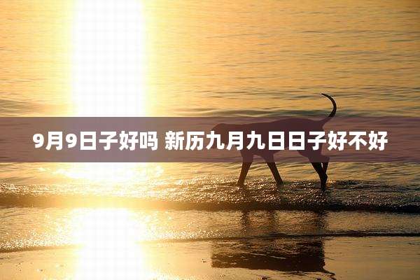 9月9日子好吗 新历九月九日日子好不好