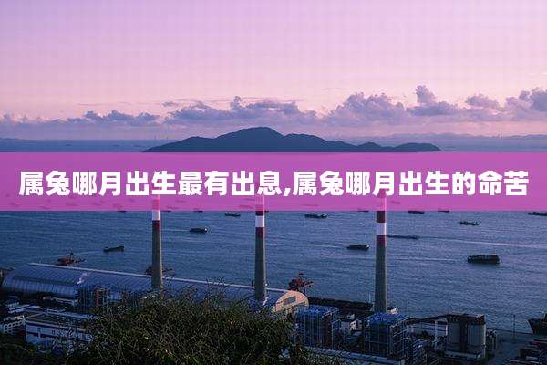 属兔哪月出生最有出息,属兔哪月出生的命苦
