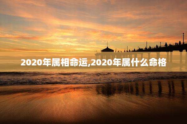 2020年属相命运,2020年属什么命格
