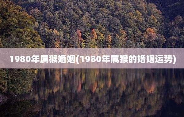 1980年属猴婚姻(1980年属猴的婚姻运势)