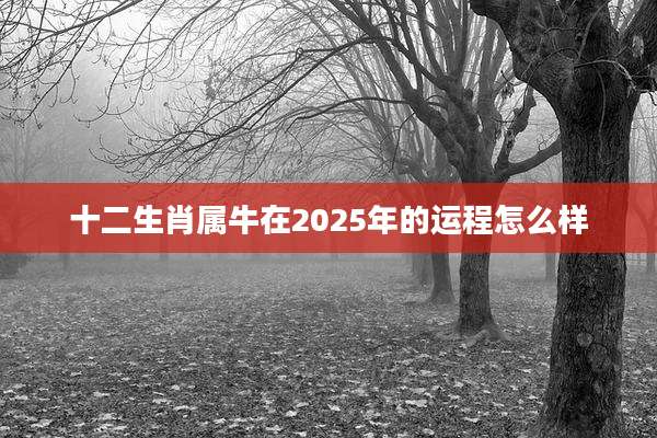 十二生肖属牛在2025年的运程怎么样