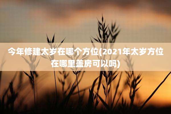 今年修建太岁在哪个方位(2021年太岁方位在哪里盖房可以吗)