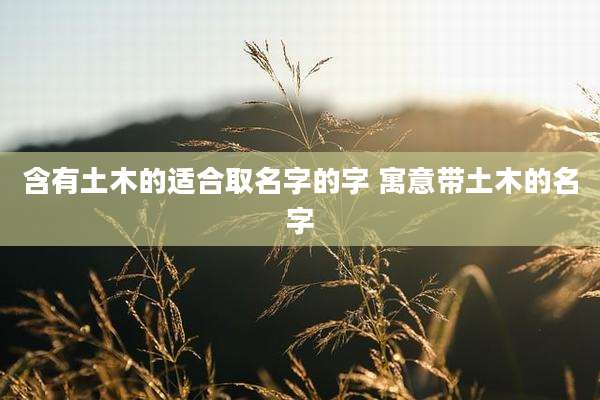 含有土木的适合取名字的字 寓意带土木的名字