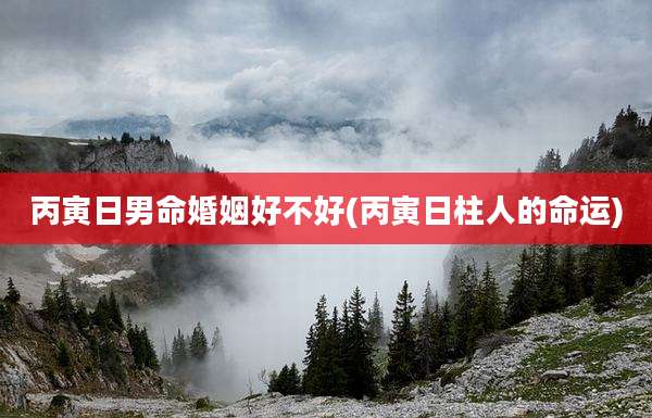 丙寅日男命婚姻好不好(丙寅日柱人的命运)