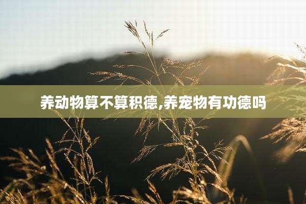 养动物算不算积德,养宠物有功德吗