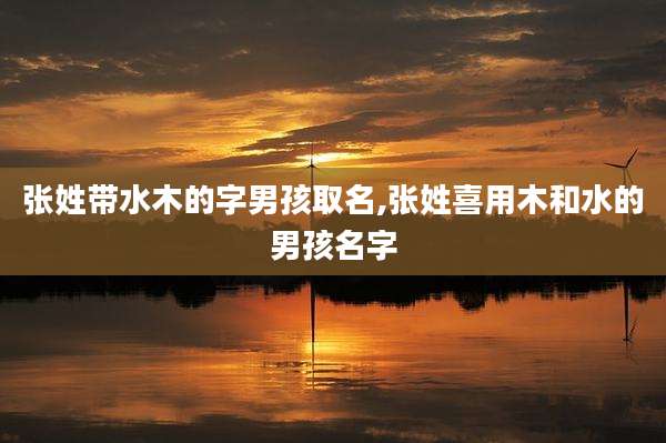 张姓带水木的字男孩取名,张姓喜用木和水的男孩名字