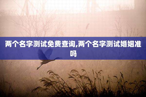 两个名字测试免费查询,两个名字测试婚姻准吗
