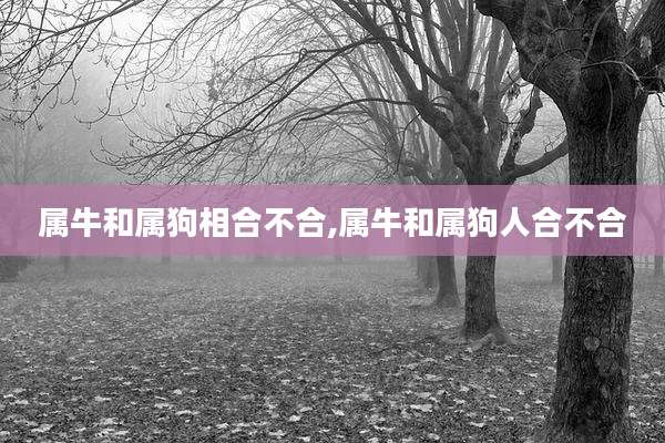 属牛和属狗相合不合,属牛和属狗人合不合