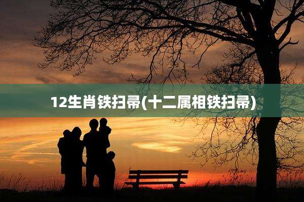 12生肖铁扫帚(十二属相铁扫帚)