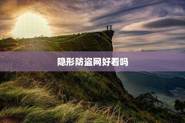 隐形防盗网好看吗