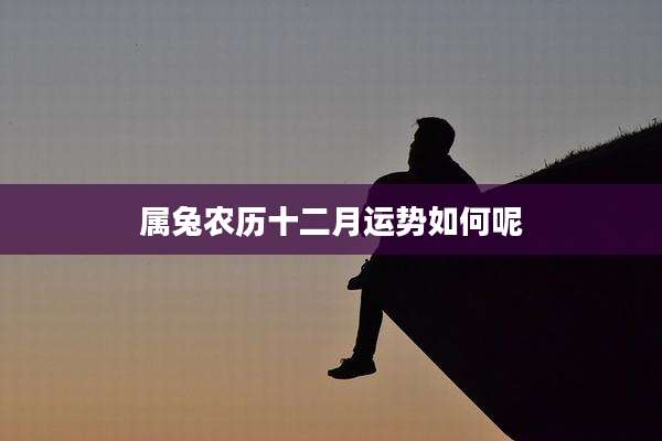 属兔农历十二月运势如何呢