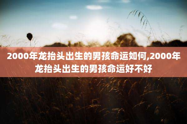 2000年龙抬头出生的男孩命运如何,2000年龙抬头出生的男孩命运好不好