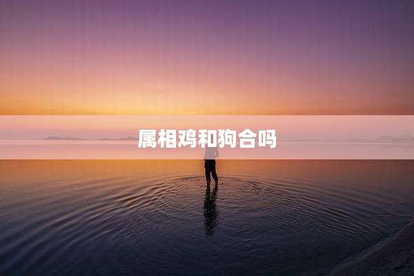 属相鸡和狗合吗