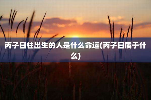 丙子日柱出生的人是什么命运(丙子日属于什么)