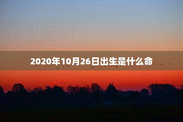 2020年10月26日出生是什么命