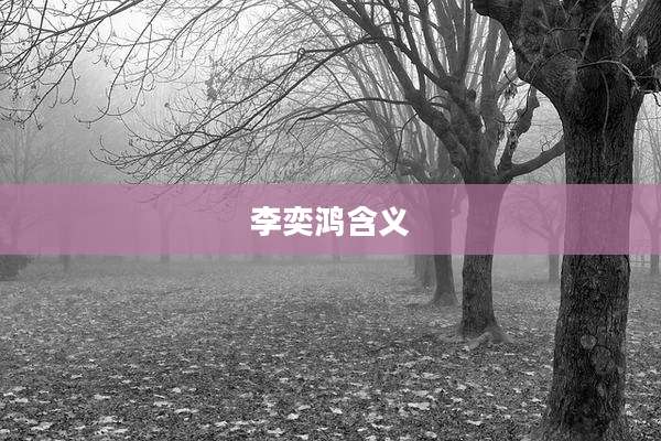 李奕鸿含义