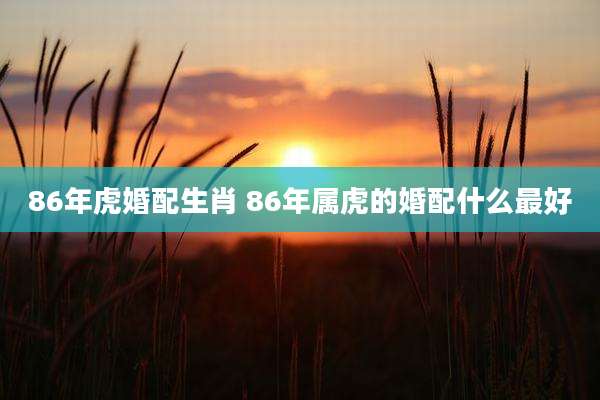 86年虎婚配生肖 86年属虎的婚配什么最好