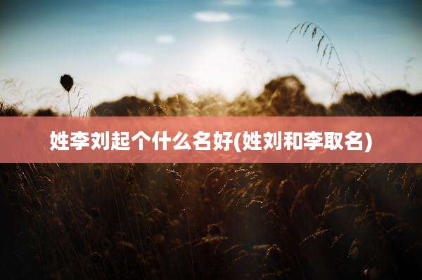 姓李刘起个什么名好(姓刘和李取名)