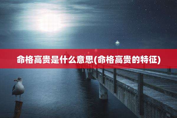 命格高贵是什么意思(命格高贵的特征)