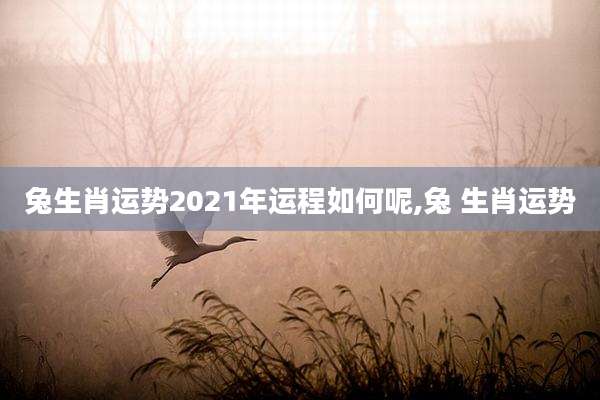 兔生肖运势2021年运程如何呢,兔 生肖运势