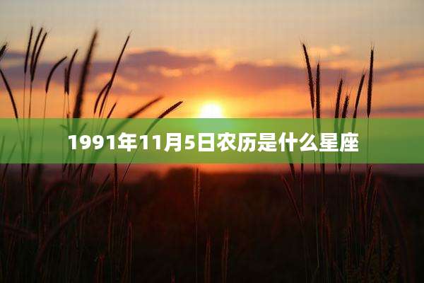1991年11月5日农历是什么星座