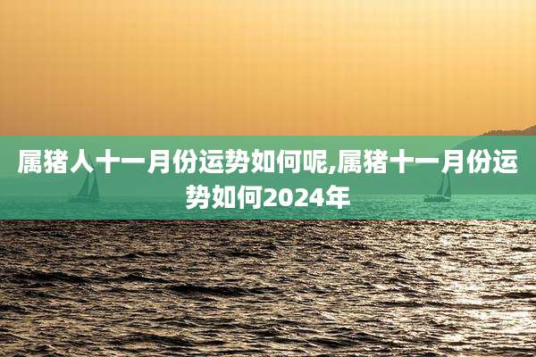 属猪人十一月份运势如何呢,属猪十一月份运势如何2024年
