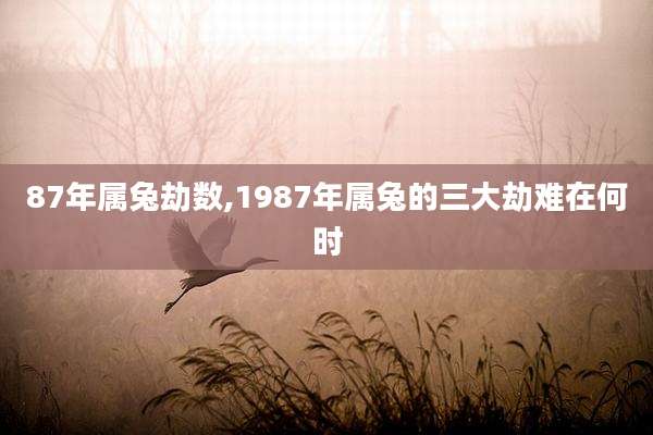 87年属兔劫数,1987年属兔的三大劫难在何时