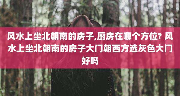 风水上坐北朝南的房子,厨房在哪个方位? 风水上坐北朝南的房子大门朝西方选灰色大门好吗