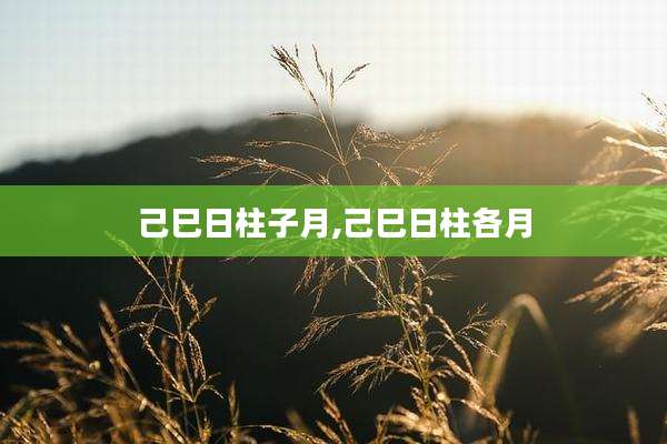 己巳日柱子月,己巳日柱各月