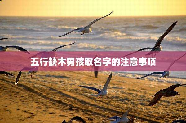 五行缺木男孩取名字的注意事项