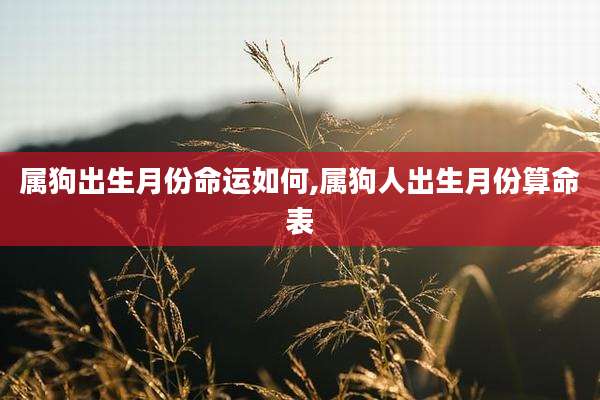 属狗出生月份命运如何,属狗人出生月份算命表
