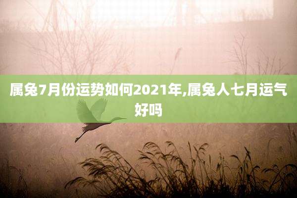 属兔7月份运势如何2021年,属兔人七月运气好吗
