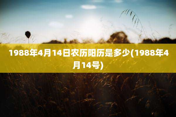 1988年4月14日农历阳历是多少(1988年4月14号)