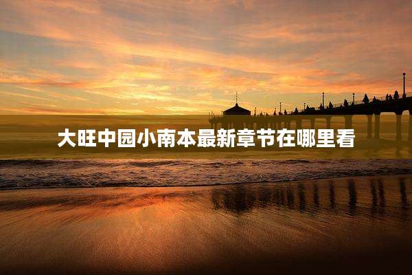 大旺中园小南本最新章节在哪里看