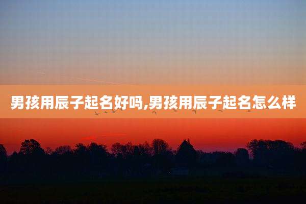 男孩用辰子起名好吗,男孩用辰子起名怎么样