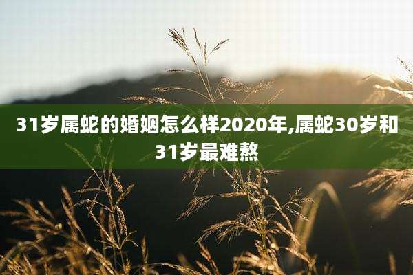 31岁属蛇的婚姻怎么样2020年,属蛇30岁和31岁最难熬