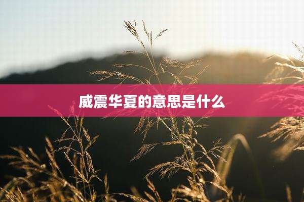 威震华夏的意思是什么