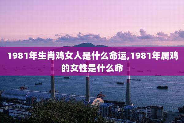 1981年生肖鸡女人是什么命运,1981年属鸡的女性是什么命