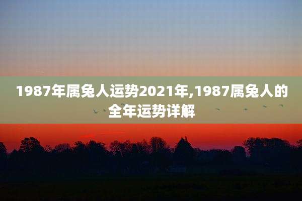 1987年属兔人运势2021年,1987属兔人的全年运势详解